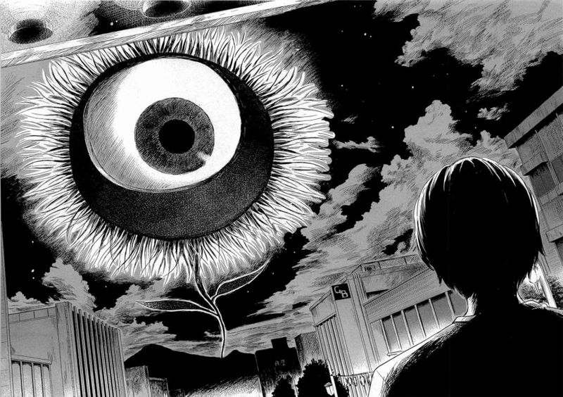 aku no hana.jpeg aku no hana.jpeg